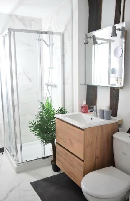 Chic Et Normand, Parking Facile, Wifi Hd Appartement Pont-Audemer Buitenkant foto